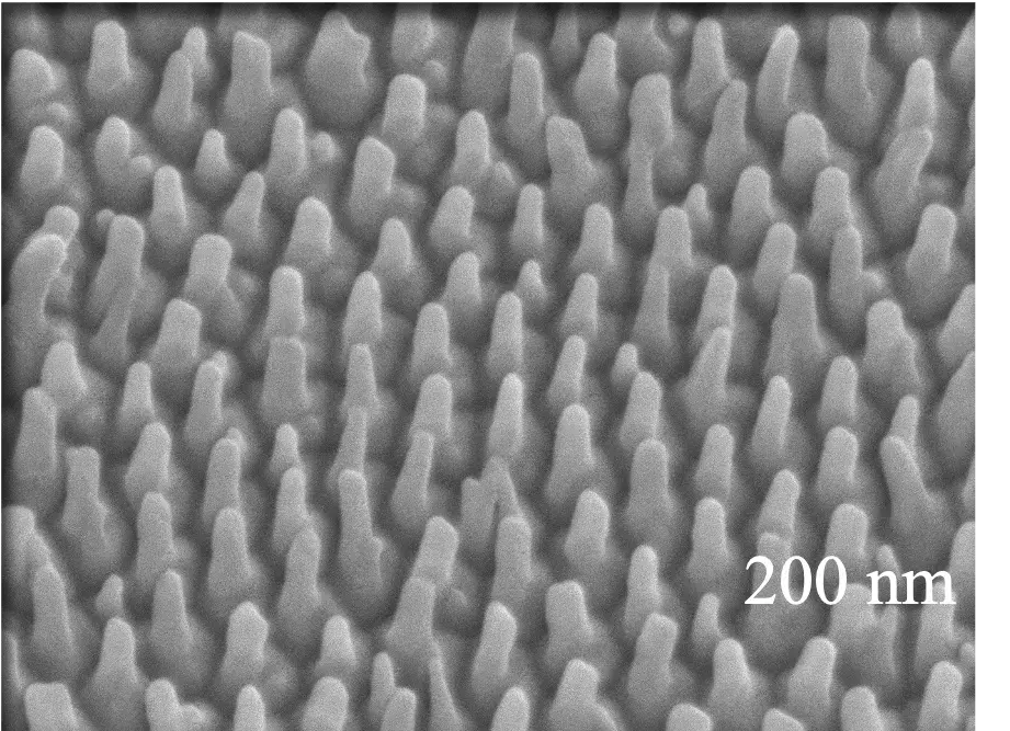 Artificial nanostructure
