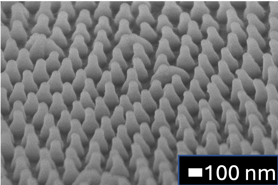 Nanostructure of the wings