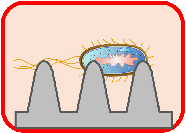 図2